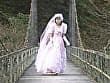 大人のAVベストセレクション vol.50 1990年代名作ドラマ編6 10作品本編まるごと収録