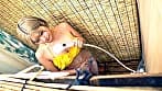 夏・海・巨乳娘 ぬれ濡れおま〇こ密室イキ狂いオナニー