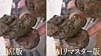 【AIリマスター版】プレミア美人うんち 参
