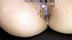 バス待ちの巨乳娘をナンパしてちょっとエッチな高額バイトしてみませんか？ヤリタイ盛りの巨乳娘と3P中出しファック！