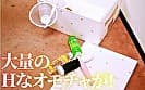 先輩は、●うとヤンデレ？ 宍戸里帆