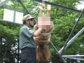 従僕志願 メス豚に目覚めた女達