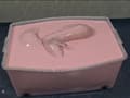 Alginate001