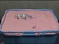 Alginate001