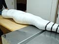 Mummification ver.016