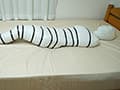 Mummification ver.016