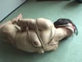 緊○フルコース39 咲羽優衣香