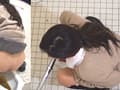エボ うんこ スペシャルベスト3