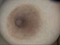 100人の乳首 第8集