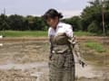 泥まみれの卒業研究