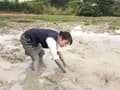泥だらけの探索