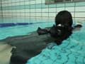 着衣水泳部への体験入部（3）