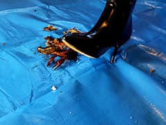 みくちゃんのザリガニにされた罪人処刑 VOL2