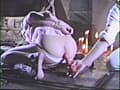 素人女性縄愛撫・開股責め