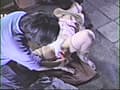 素人女性縄愛撫・開股責め