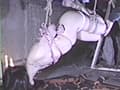細紐ギリギリ褌・食い込む情念