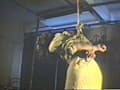 悲艶痛虐女囚縛り・この凄い水責め
