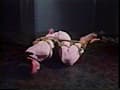 ぬれき好み・紫乃緊○徹底縄愛撫