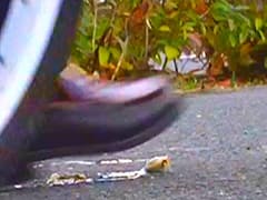 「カタツムリ踏んだー！」生き物を踏み潰し喜ぶ妖精たち