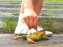 短靴やサンダルでヒキガエルを踏むあどけない女の子!