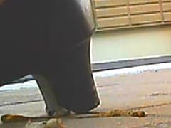 パンプスのつま先やカカトがイモムシを踏み潰す！