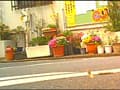 パンプスのつま先やカカトがイモムシを踏み潰す！