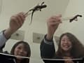 クラスでも人気の激カワ娘が可愛いイモリを激クラッシュ