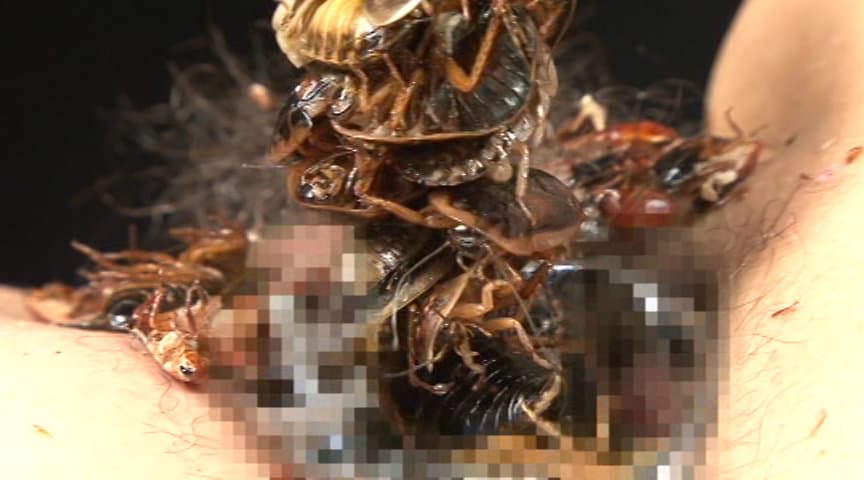蜚蠊に難い雌襞と○蝕に斑液
