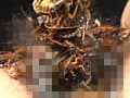 蜚蠊に難い雌襞と○蝕に斑液