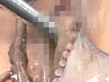 蛸に触腕と膣啜い侵○に斑紋