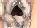蛸に触腕と膣啜い侵○に斑紋