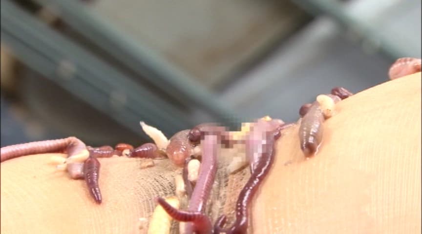 蛆蟲に嗅い○淫と泥獣に駭然