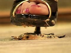 私の足下で逝け！