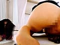 懇願！正座うんこ6