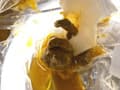 止まるエレベーター 非常用トイレ緊急うんこ8