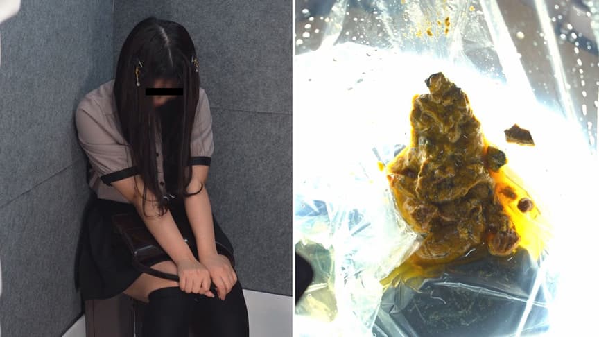 止まるエレベーター 非常用トイレ緊急うんこ10