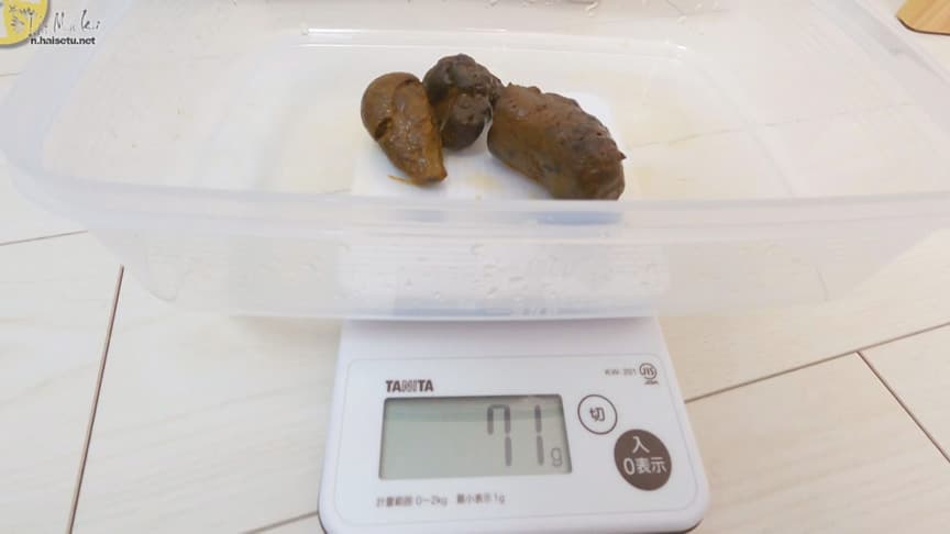 糞をひる 自然便、自撮り集・2