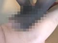顔騎女男虐 QUEEN櫻