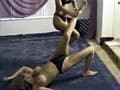 Cat Fight 女の決闘