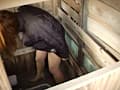 卑劣○罪！女便所淫撮された女達04