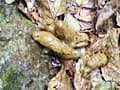 野糞 ギャルの野糞を徹底解剖3