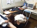 痴○でっちあげ女子○生