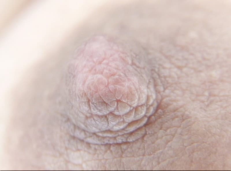 300人の乳首 3