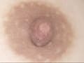 300人の乳首 3