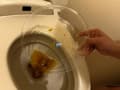 うんこを見せる女たち