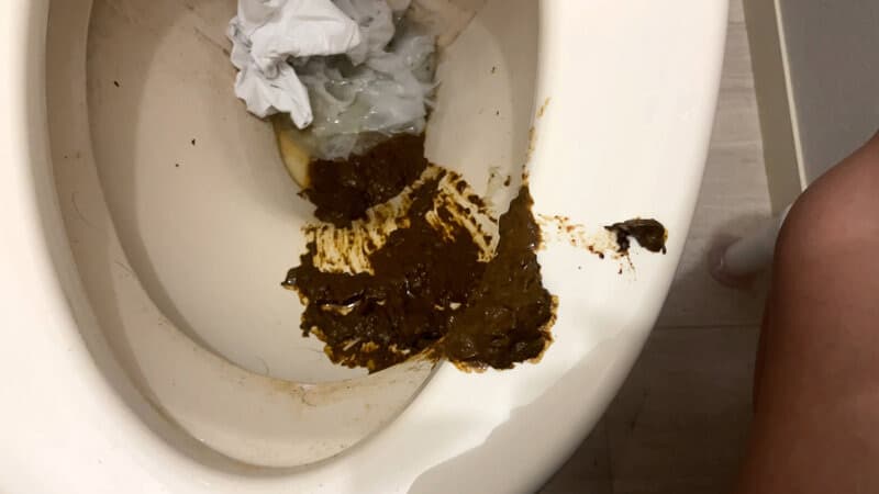 うんこのやま