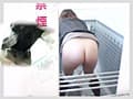 和式公衆便所 ベスト名場面総集編1