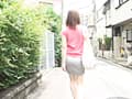 P-Line Collection2