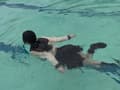 三つ巴の競泳合戦