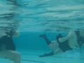 三つ巴の水球合戦